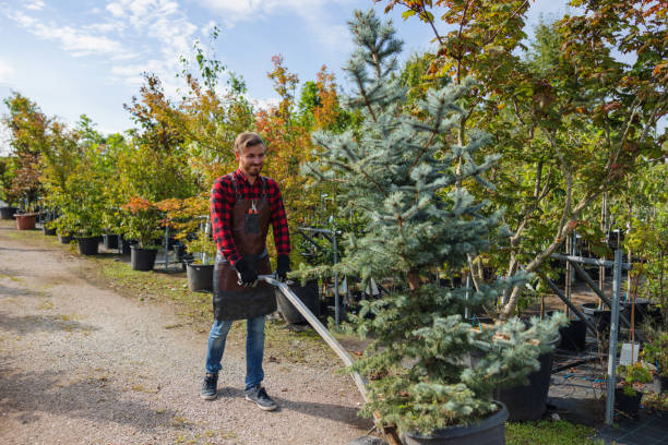 Best Tree Risk Assessment  in Germantown, MD