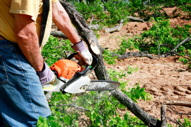 Best Lot and Land Clearing  in Germantown, MD